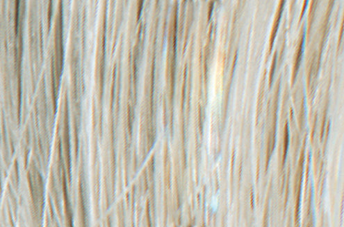 Colourage Gel Hair Color
