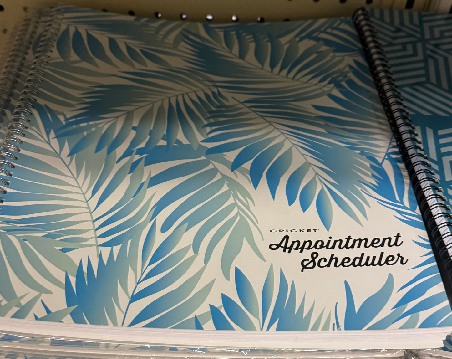 Cricket 4 Column Appointment Book