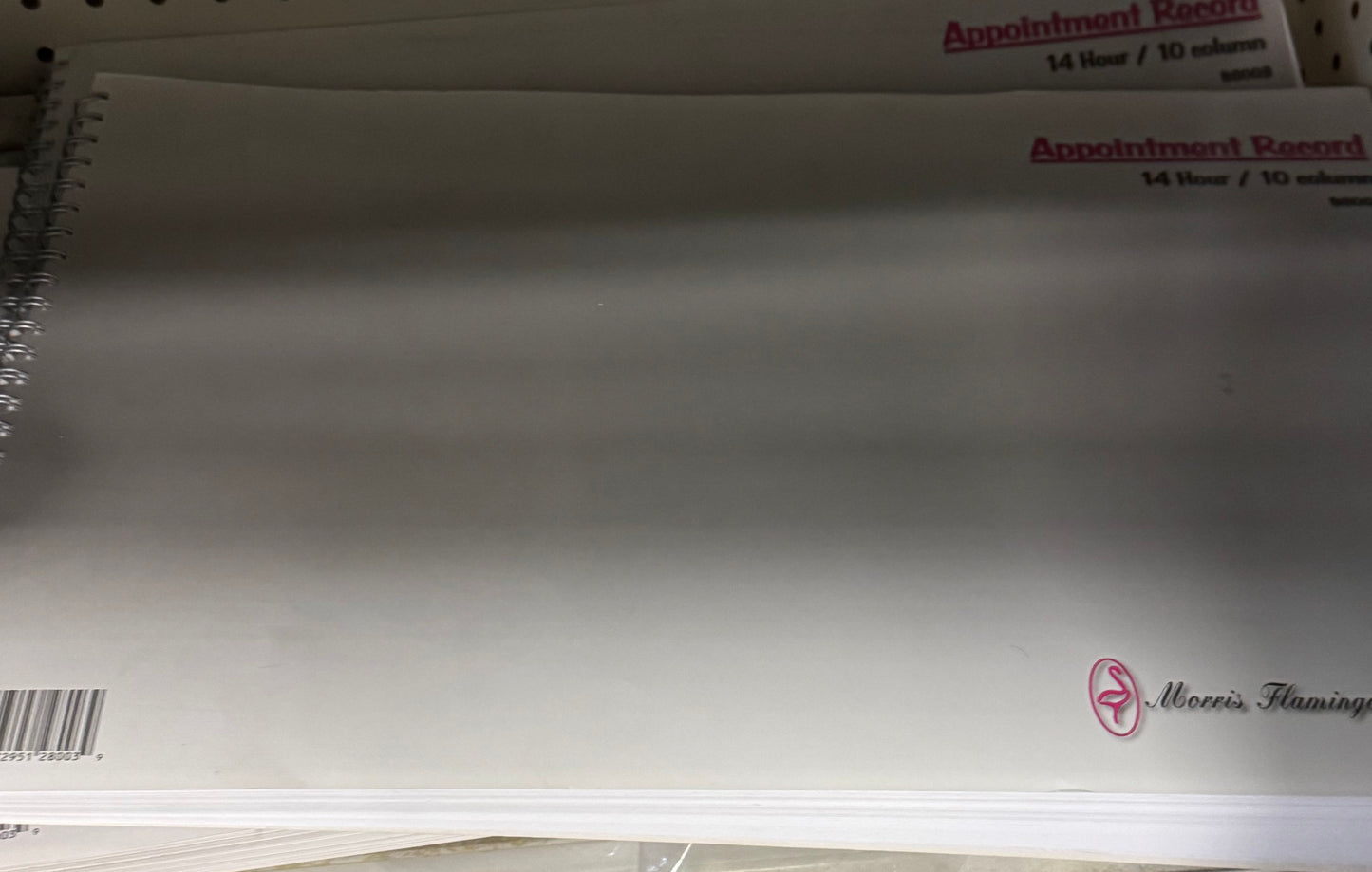 Appt. Book 10 column