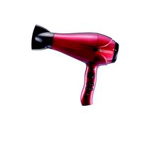 Integrity Blow Dryer