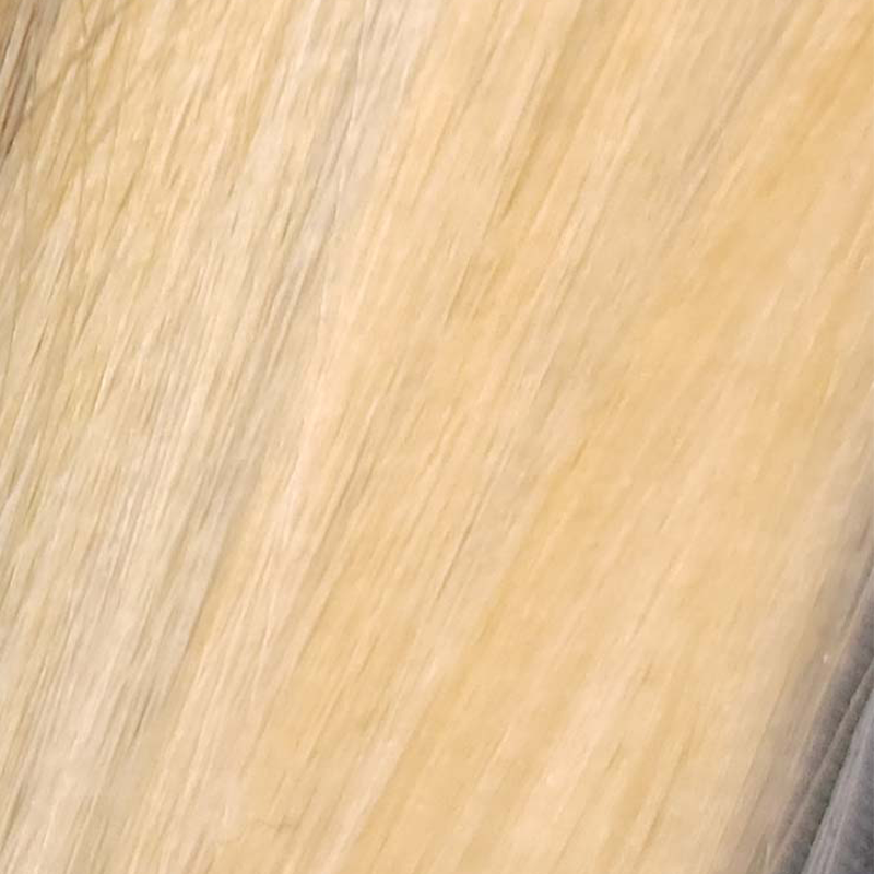 Liteworx Color